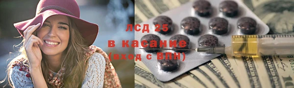 стаф Алексин