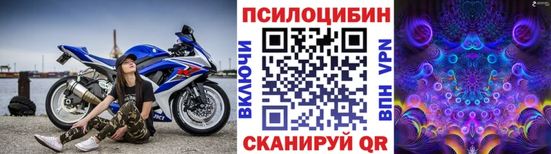 Псилоцибиновые грибы мухоморы  Шацк 